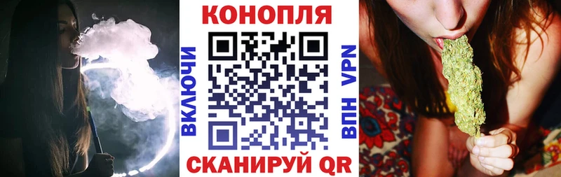 Купить закладки  Ахтубинск  Шишки марихуана тримм 